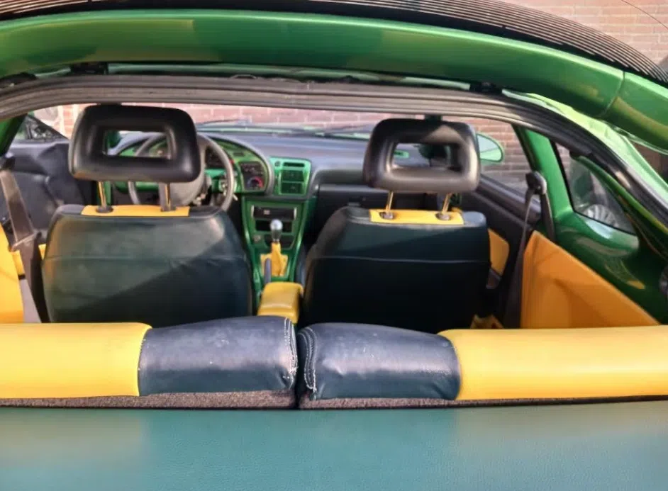 Dikke celica jonguh